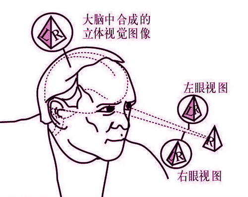澳门8858cc永利(股份)有限公司官网